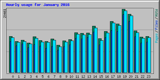 Hourly usage for January 2016