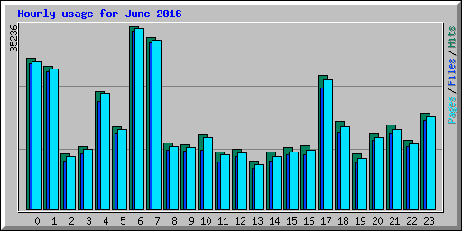 Hourly usage for June 2016