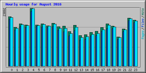 Hourly usage for August 2016